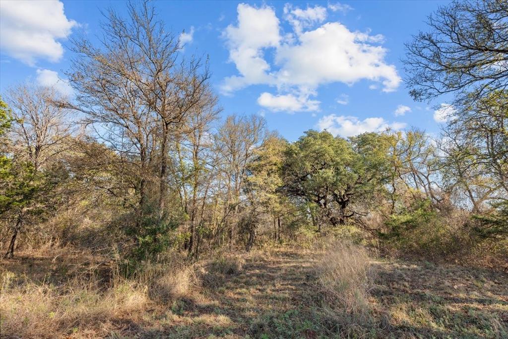 Tbd Fm-1304 Property Photo 30