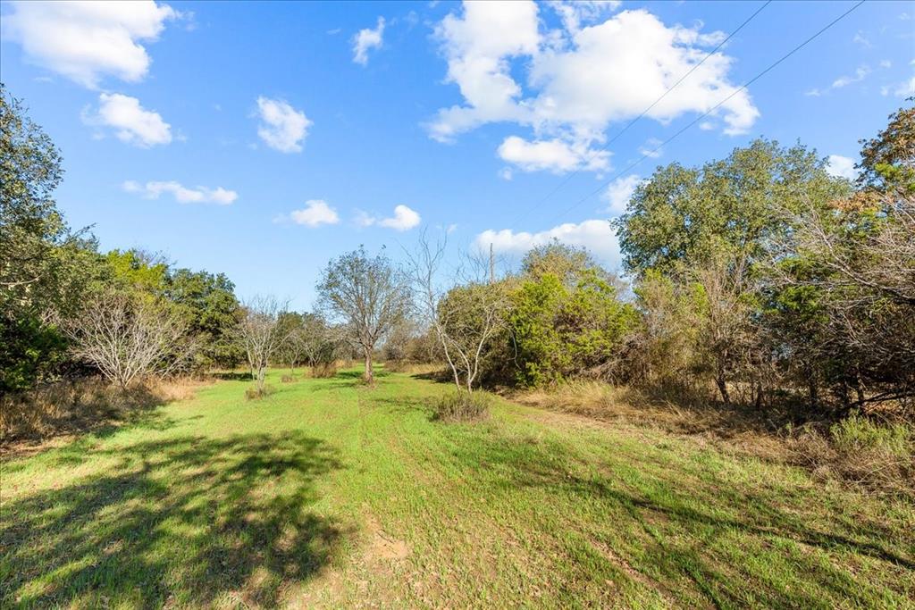 Tbd Fm-1304 Property Photo 31