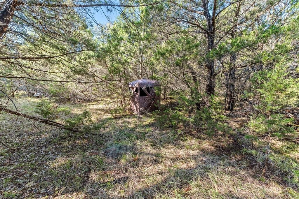 Tbd Fm-1304 Property Photo 32