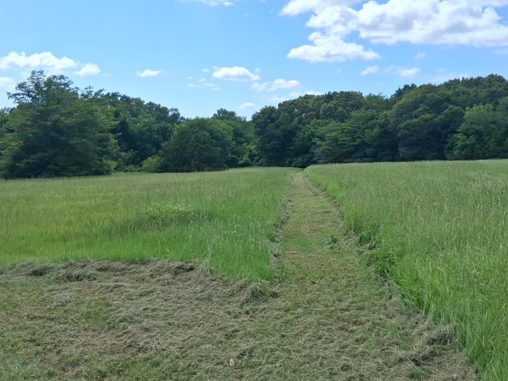1156 Rs County Road 1140 Property Photo 5