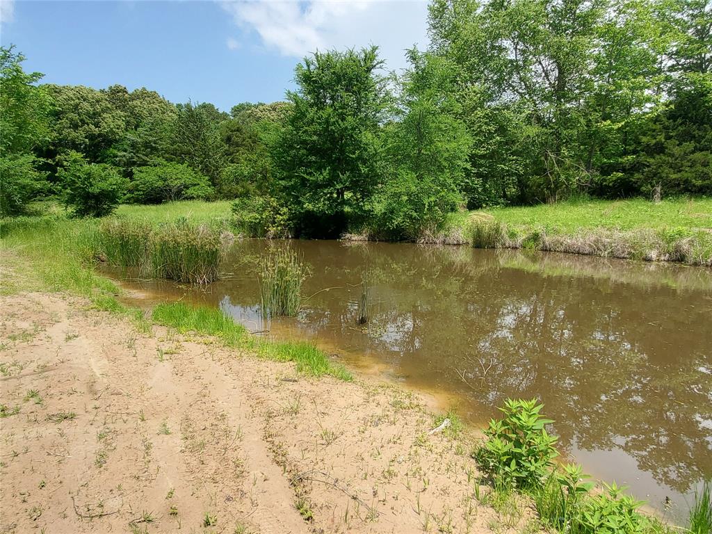 1156 Rs County Road 1140 Property Photo 8