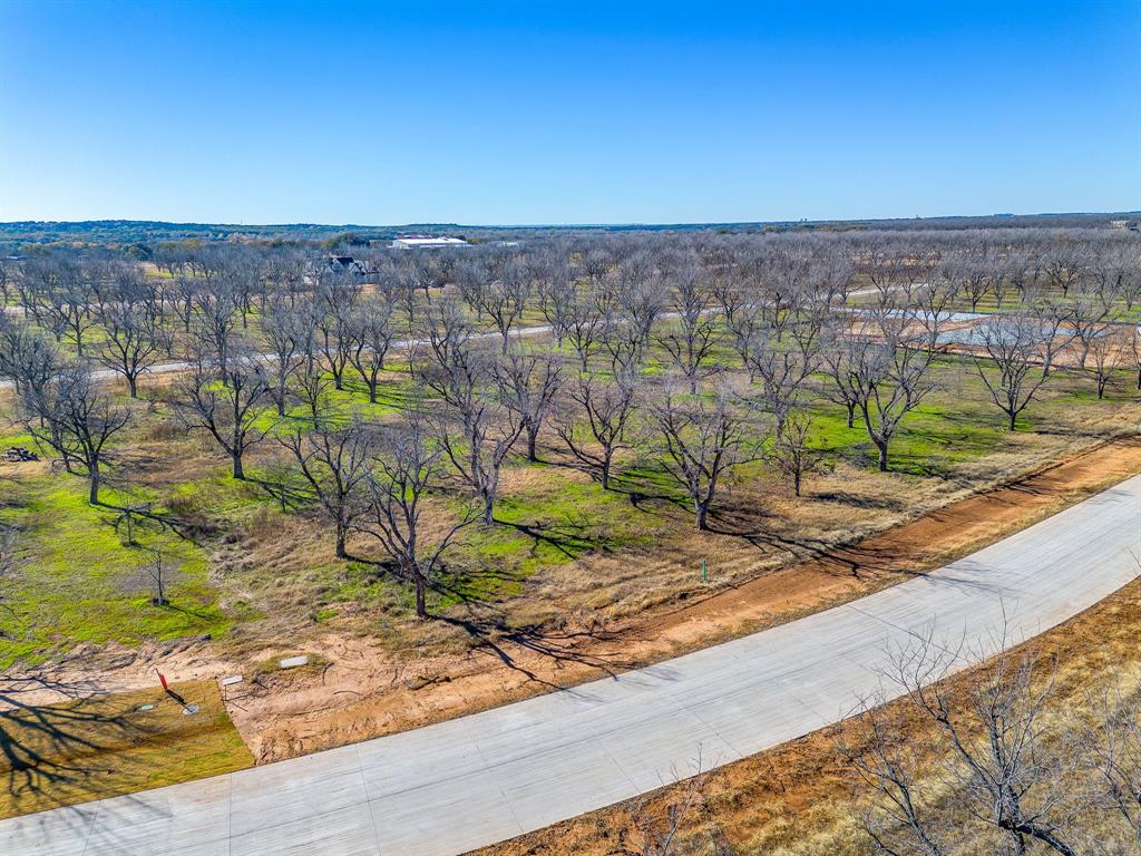 1437 Cirrus Loop Property Photo 15