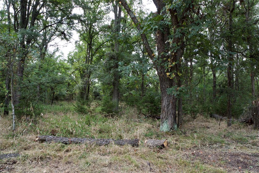 Tbd Garner Adell Rd Property Photo 4