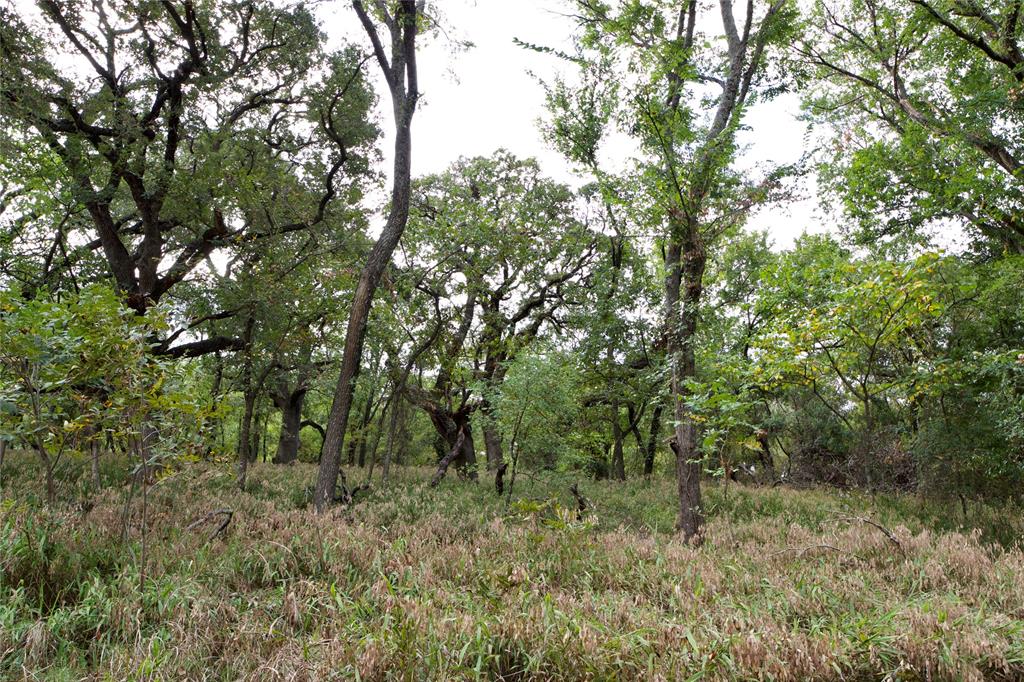 Tbd Garner Adell Rd Property Photo 8