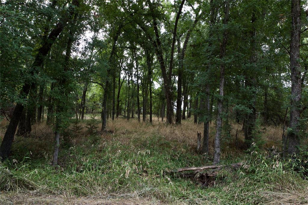 Tbd Garner Adell Rd Property Photo 24