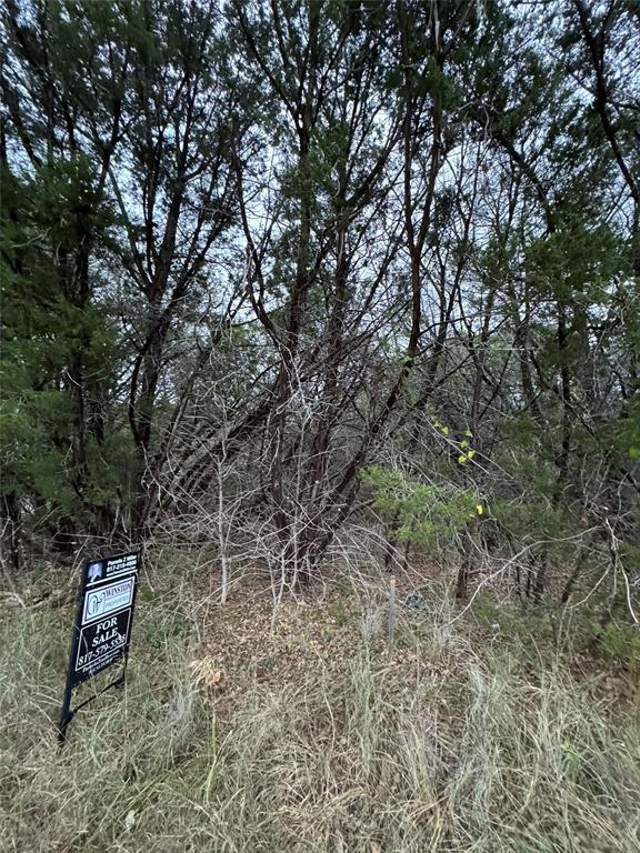 1013 Comanche Cove Drive Property Photo 4