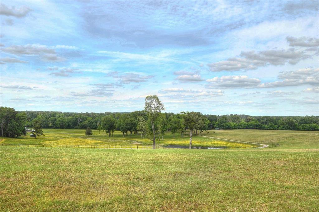 1765 Crabapple Property Photo 20