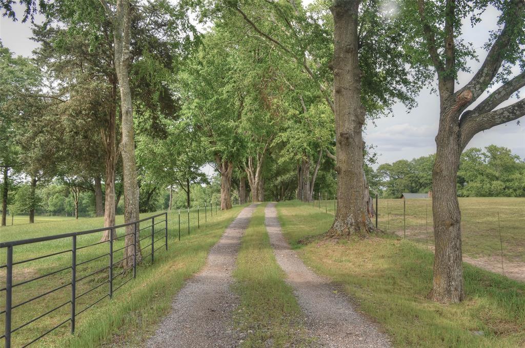 1765 Crabapple Property Photo 22