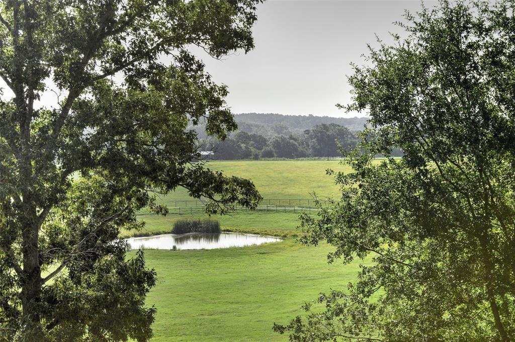 1765 Crabapple Property Photo 29