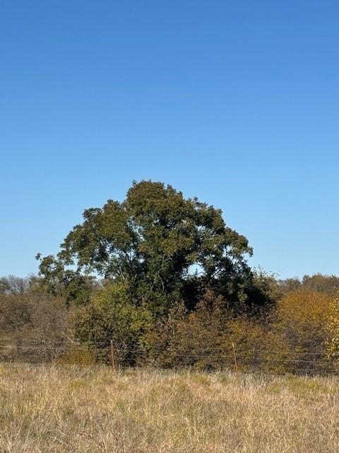 124.75ac Donald Road Property Photo 4