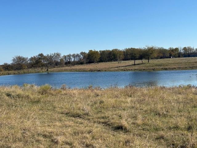 124.75ac Donald Road Property Photo 5