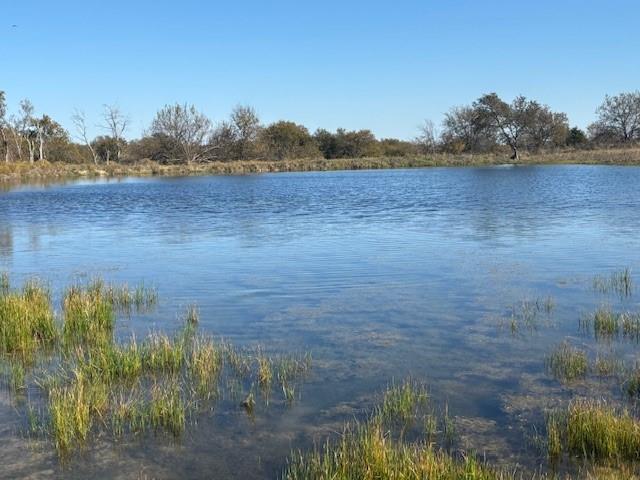 124.75ac Donald Road Property Photo 6