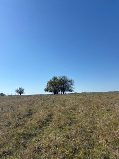 124.75ac Donald Road Property Photo 7