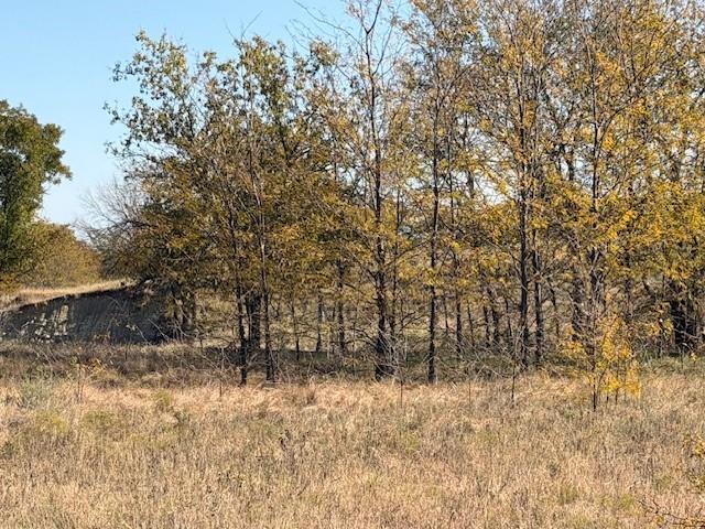 124.75ac Donald Road Property Photo 10
