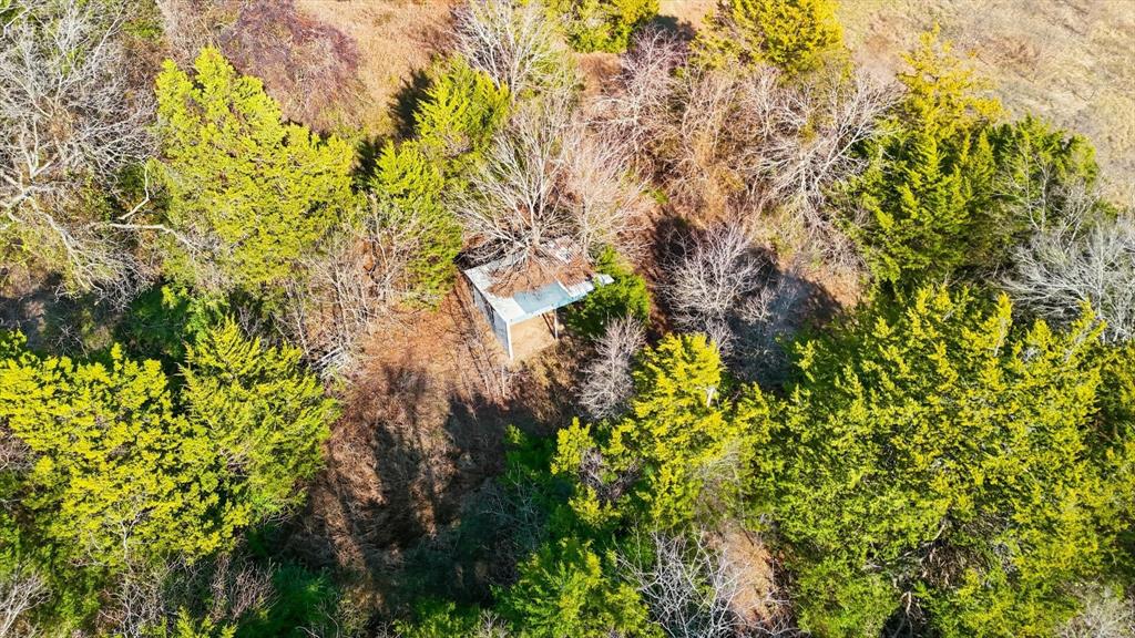 4640 Noell Road Property Photo 25