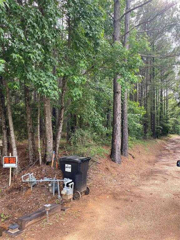 000 Old Plain Dealing Rd Property Photo 3