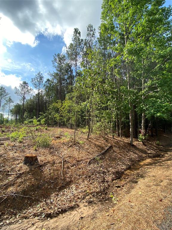 000 Old Plain Dealing Rd Property Photo 4