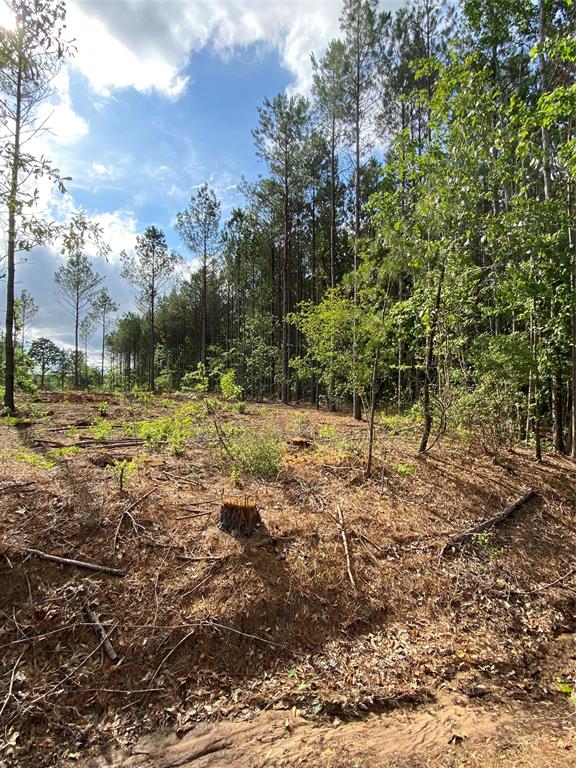 000 Old Plain Dealing Rd Property Photo 7