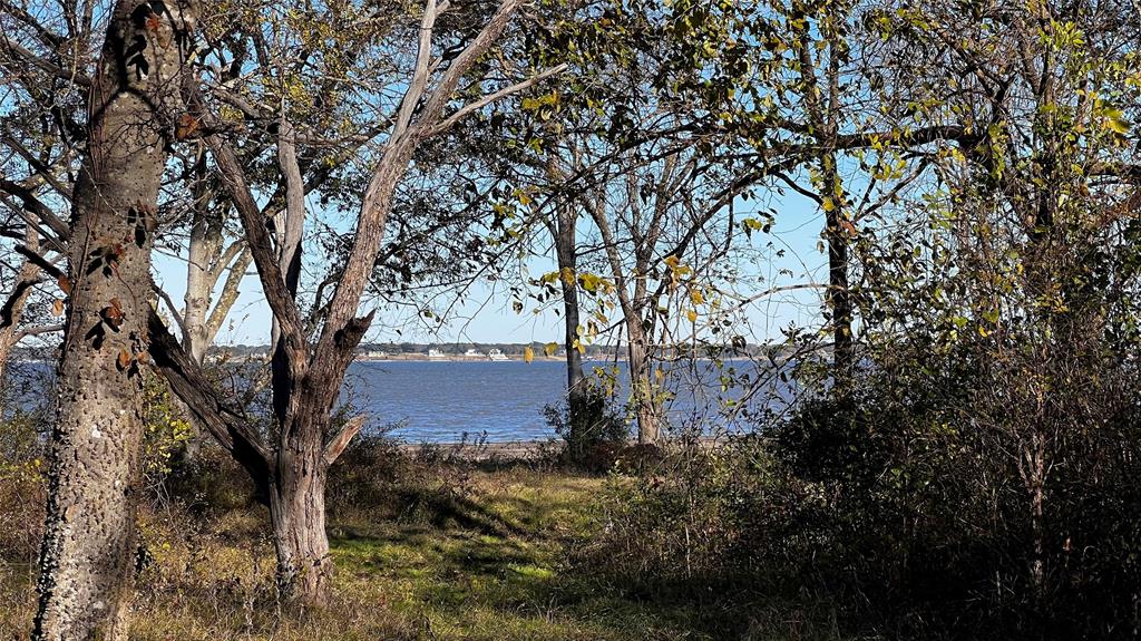 8455 Southern Shore Court Property Photo 6
