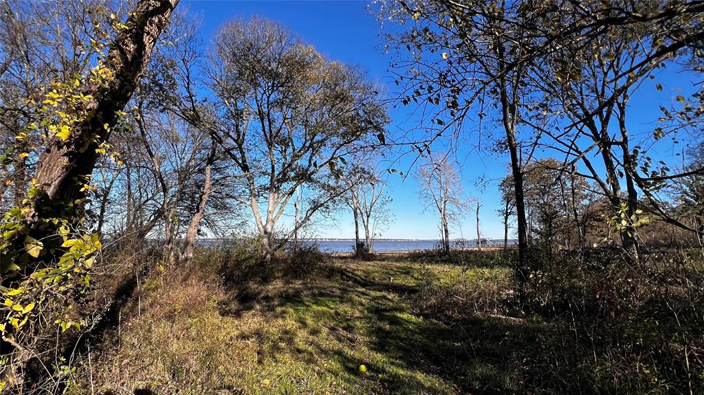 8455 Southern Shore Court Property Photo 7