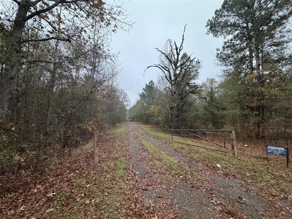 6229 County Rd 21 Property Photo 1