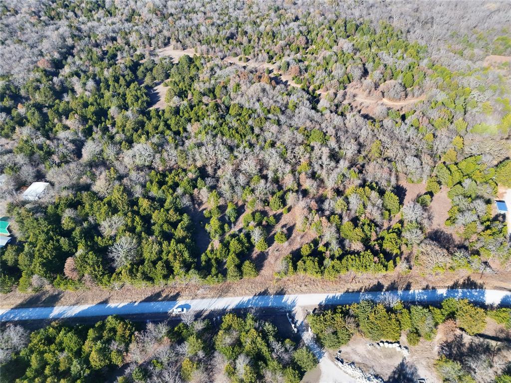 Tbd County Road 262 Property Photo 1