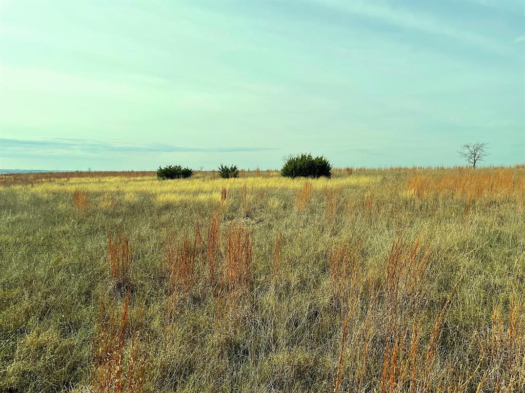 2245 County Road 619 Property Photo 3