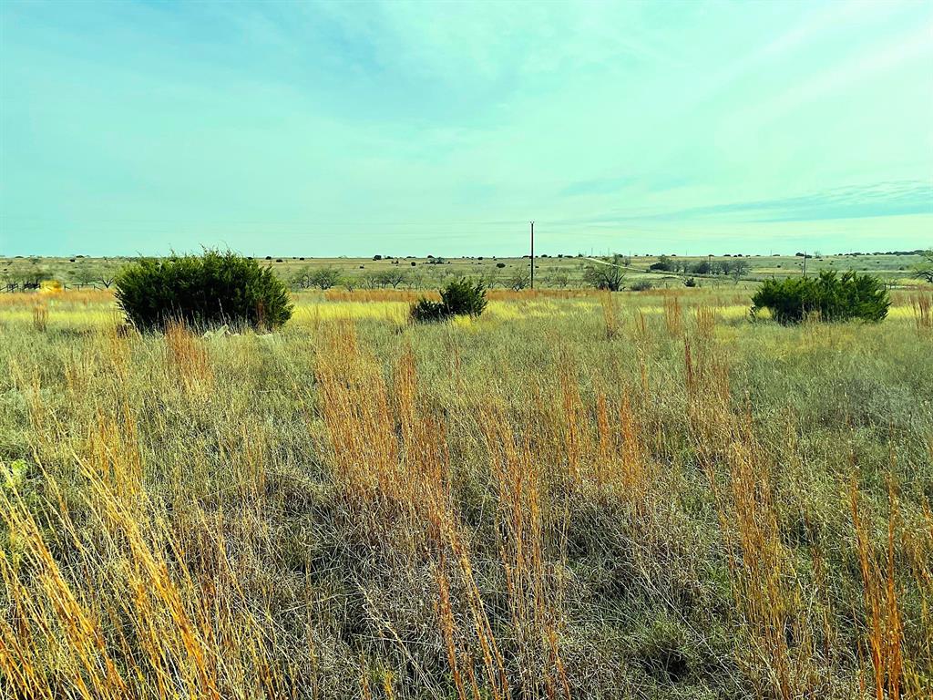 2245 County Road 619 Property Photo 5