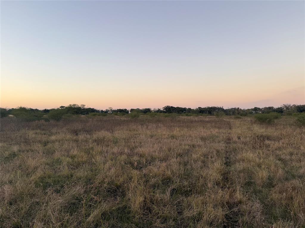 Tbd Fm-2546 Property Photo 6