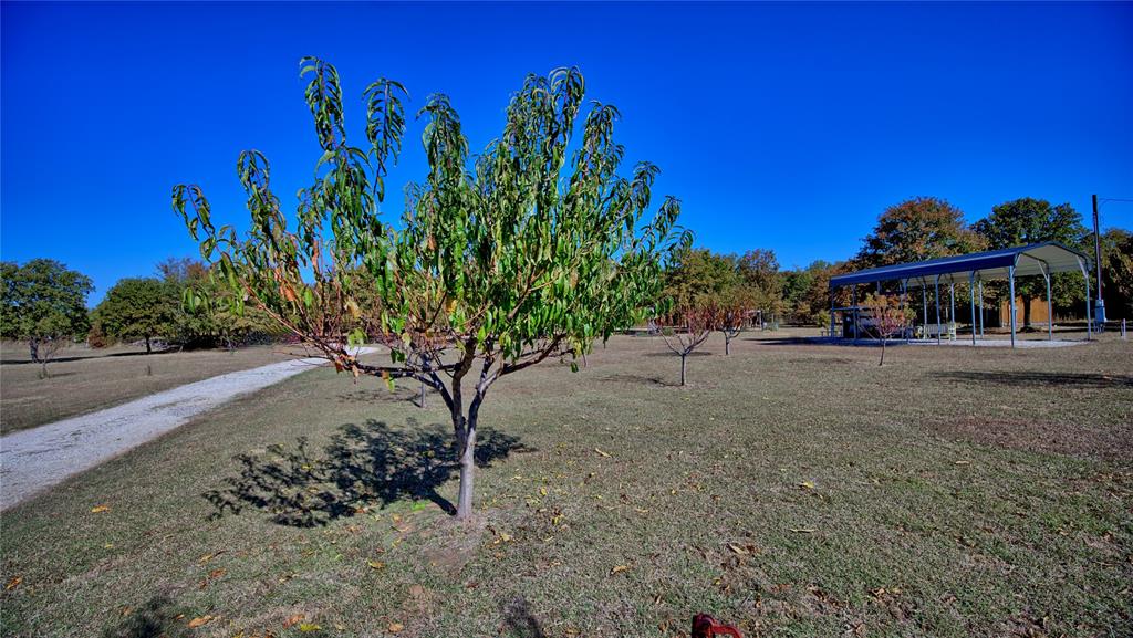 4787 Cr 106 Property Photo 30