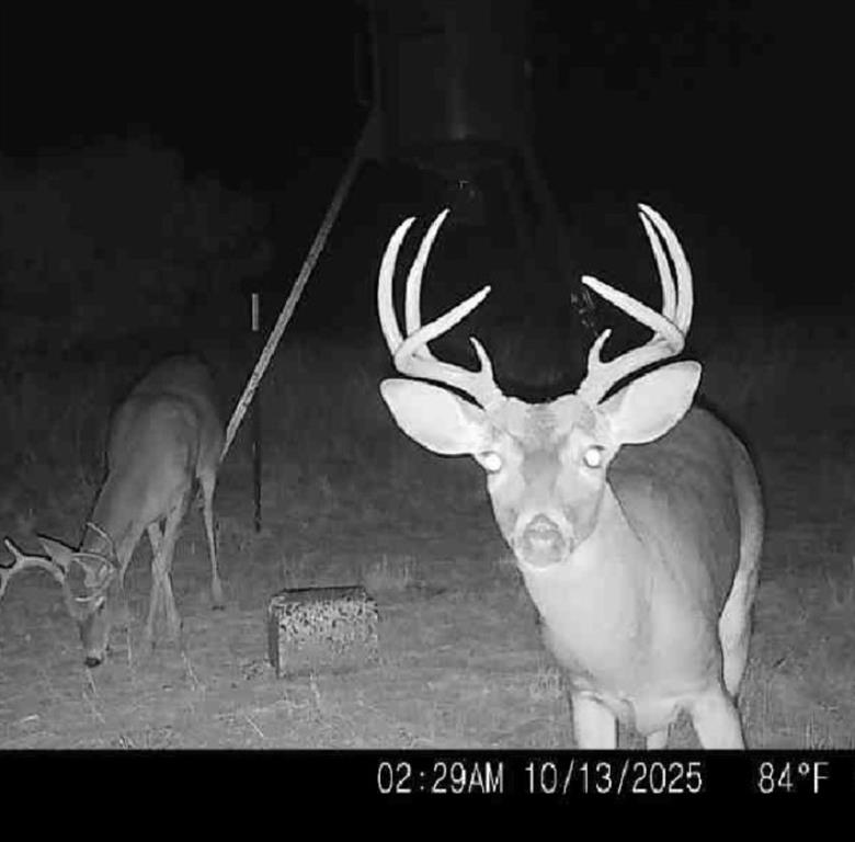 Tbd 158.50 Acres Property Photo 1