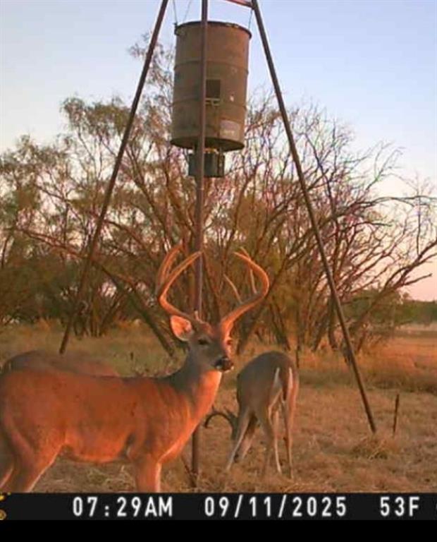 Tbd 158.50 Acres Property Photo 3