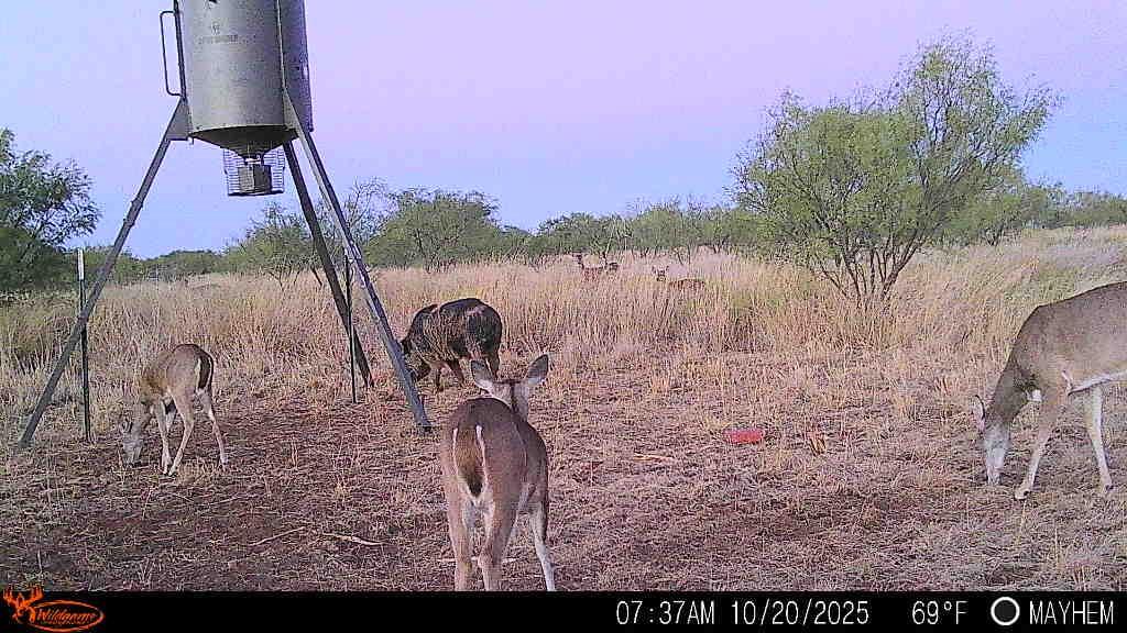 Tbd 158.50 Acres Property Photo 7