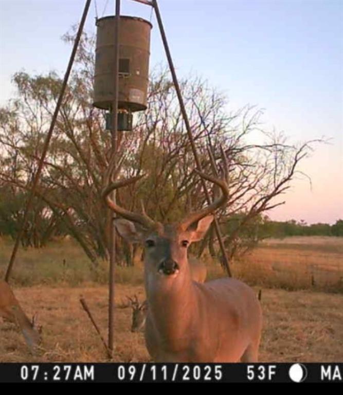 Tbd 158.50 Acres Property Photo 11
