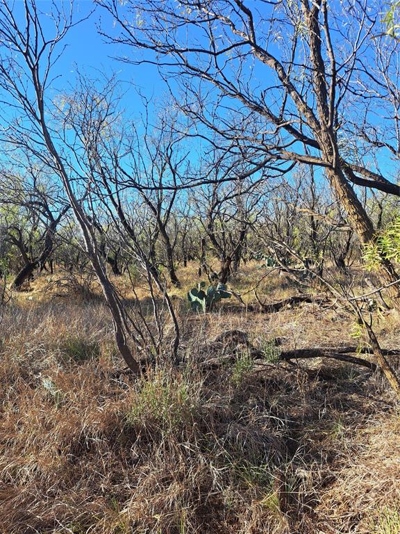 Tbd 158.50 Acres Property Photo 16