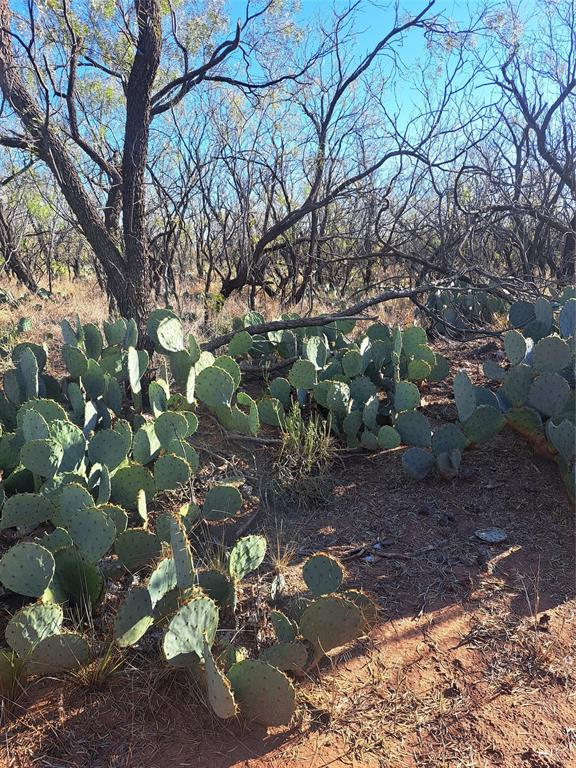 Tbd 158.50 Acres Property Photo 18