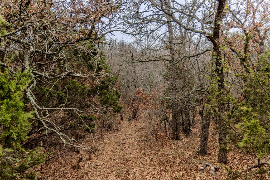 2946 Fm 52 Property Photo 21