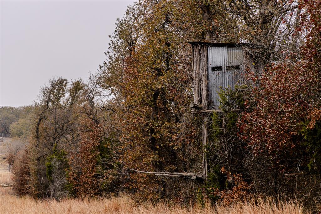 2946 Fm 52 Property Photo 29