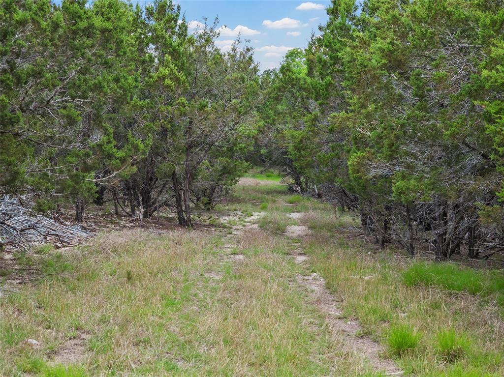 614 County Road 4165 Property Photo 34