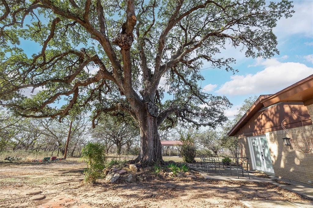 4701 County Road 337 Property Photo 31