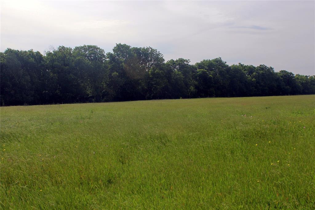21481 Sw County Road 4040 Property Photo 5
