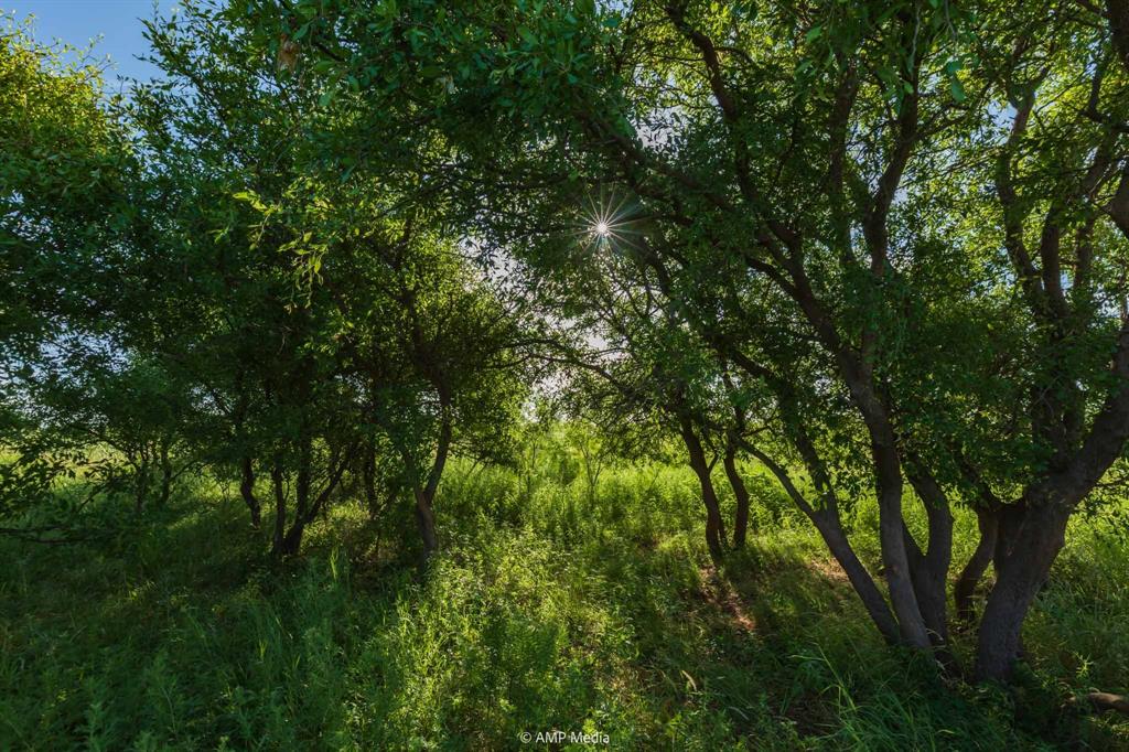 Tbd Cr 440 Property Photo 26