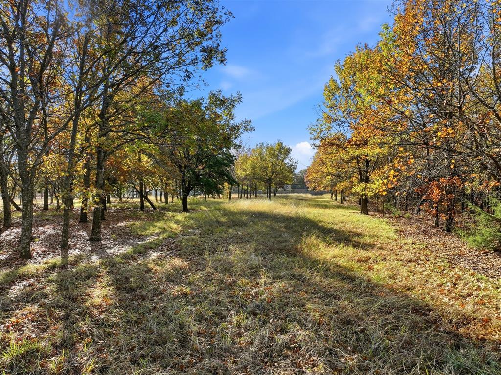 Tbd Lakeshore Drive Property Photo 8