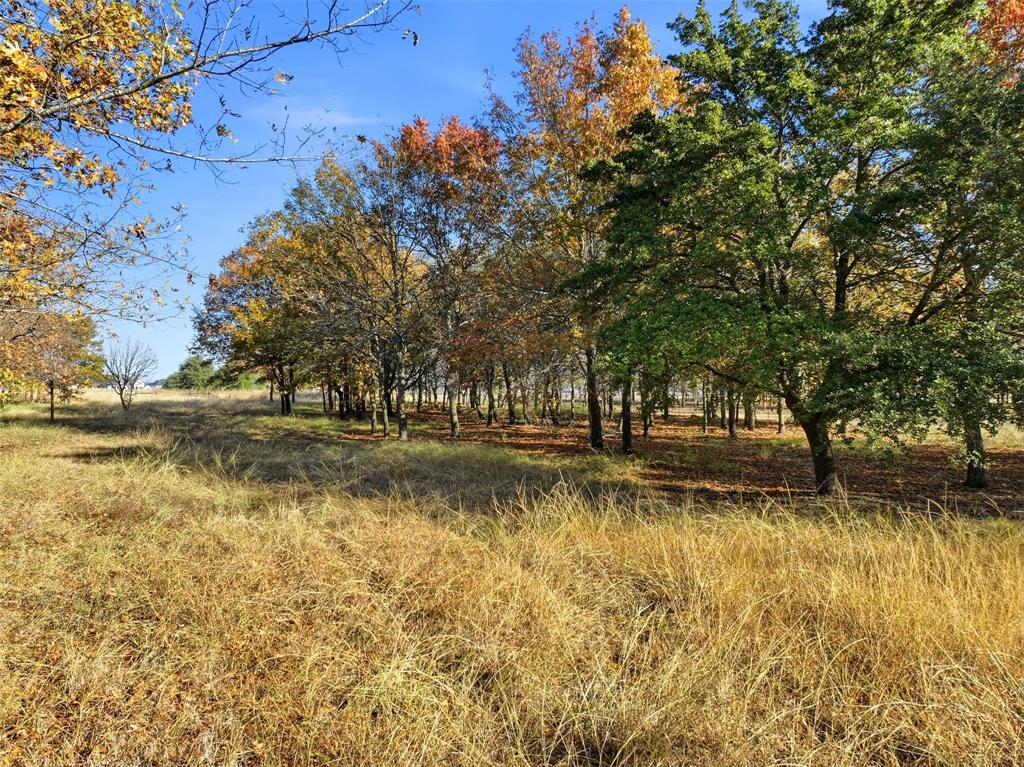 Tbd Lakeshore Drive Property Photo 10