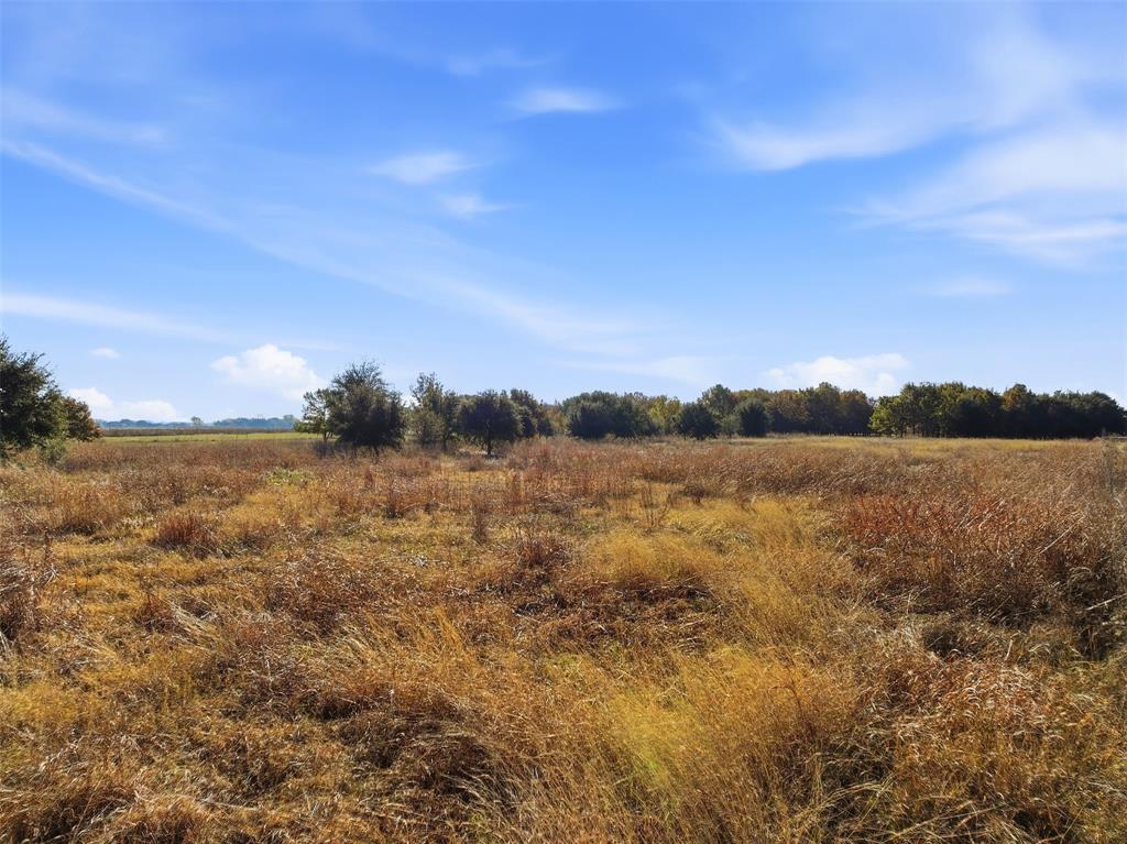 Tbd Lakeshore Drive Property Photo 18