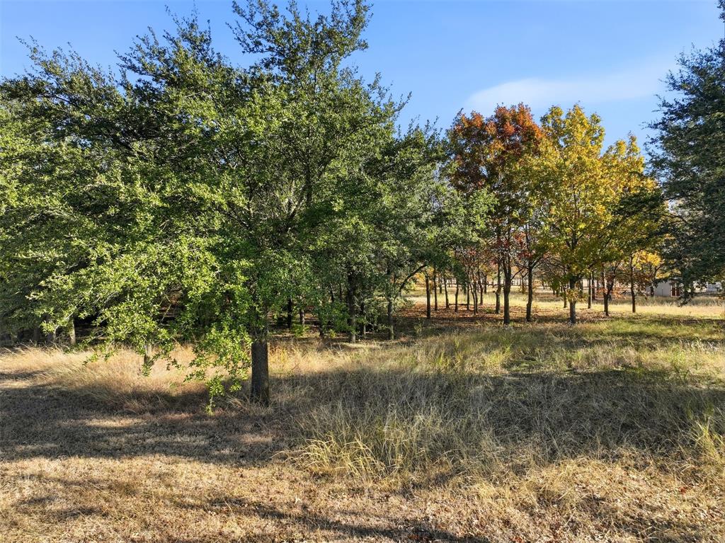 Tbd Lakeshore Drive Property Photo 21