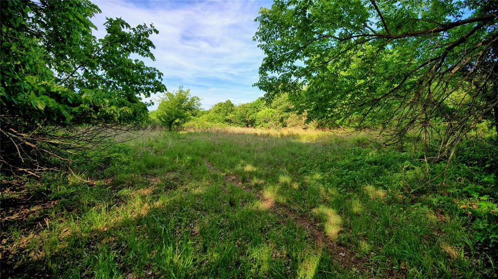 802 Fm 2634 Property Photo 19
