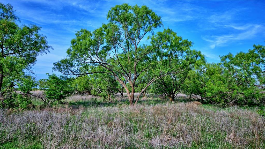 802 Fm 2634 Property Photo 31