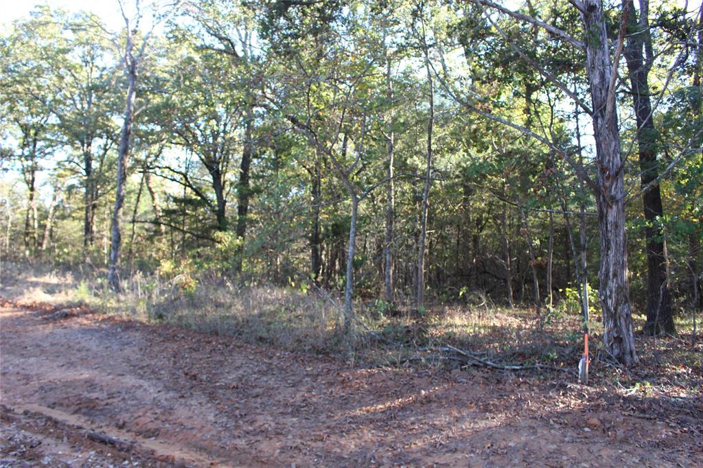 0 Cayote Springs Property Photo 10