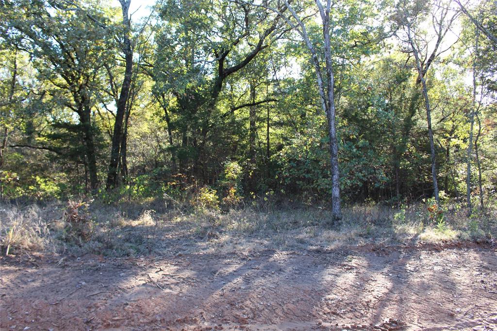 0 Cayote Springs Property Photo 11